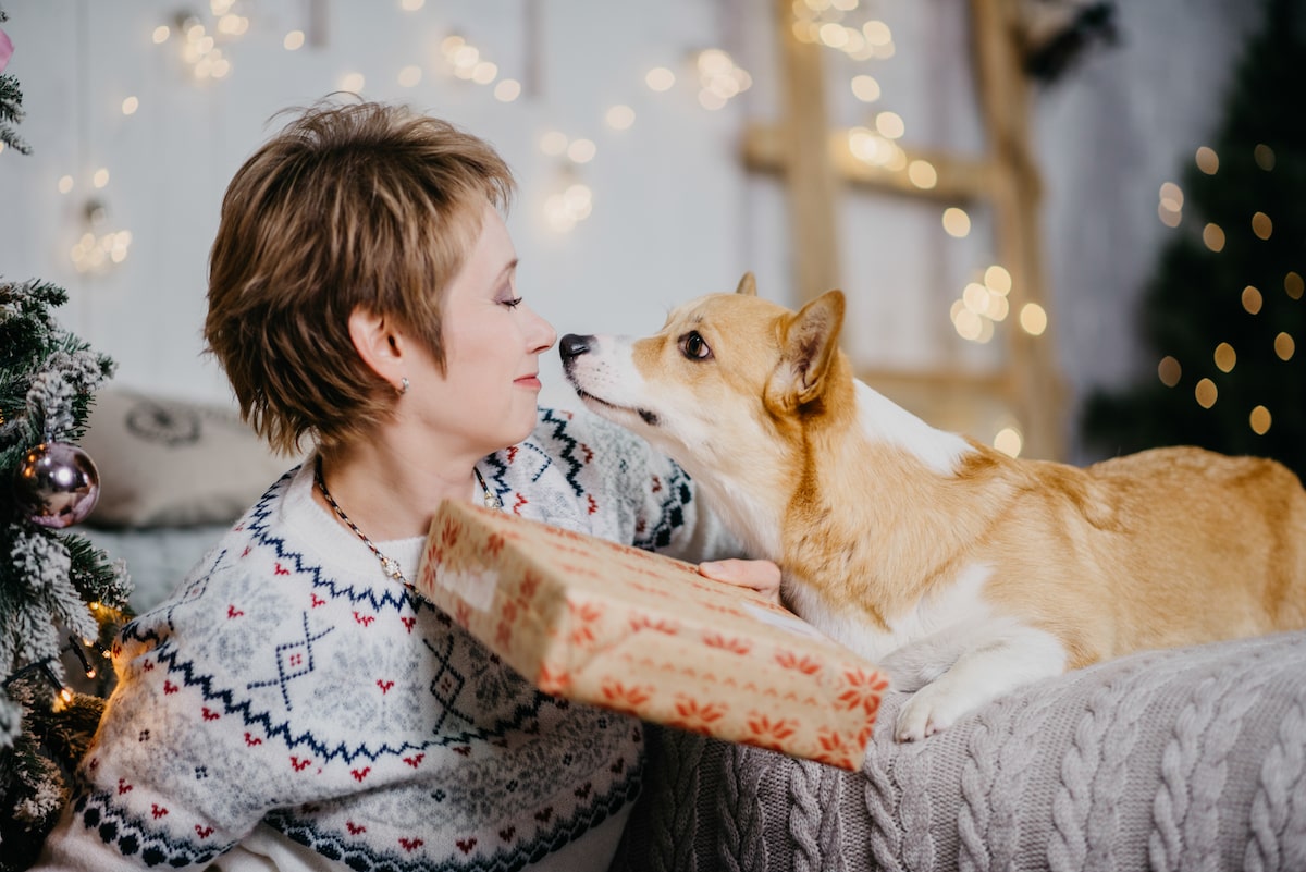 christmas gift for dog from owner
