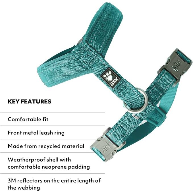 Hurtta Casual ECO Dog Y-Harness, Peacock