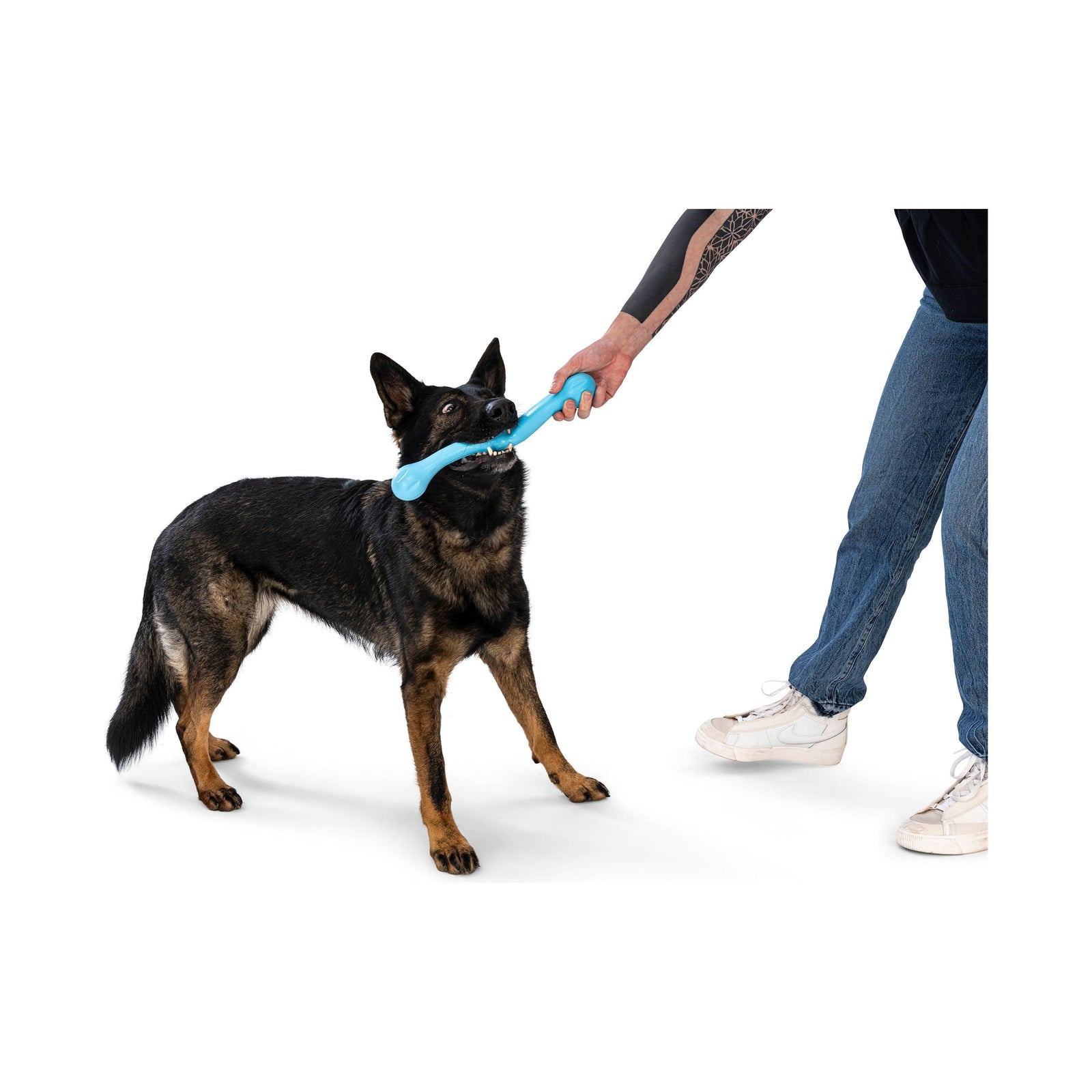 West Paw - Zogoflex Zwig, New Colors!