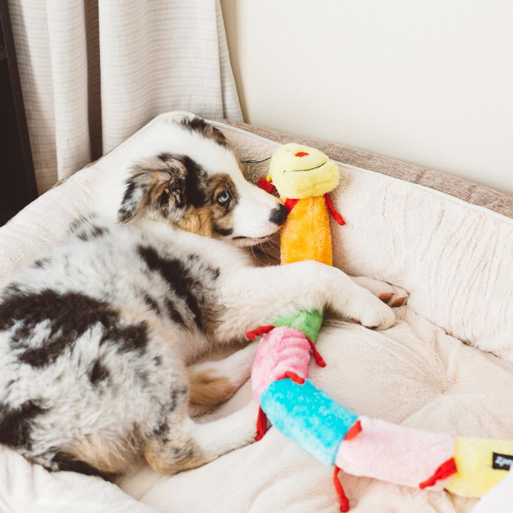 ZippyPaws - Caterpillar