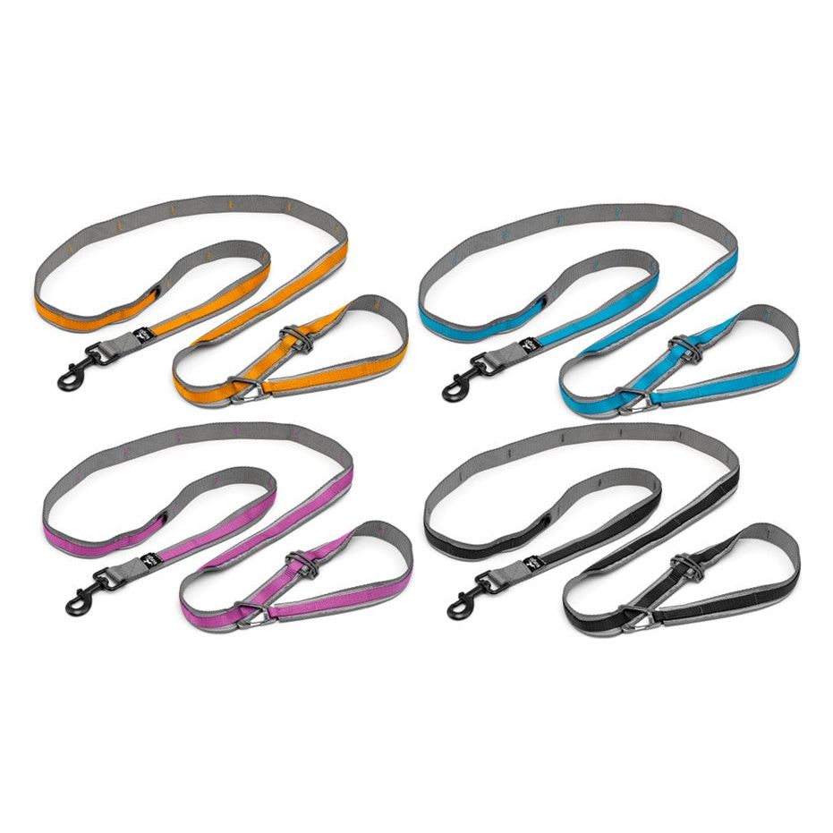 Kurgo - Reflective Quantum Leash 2.0