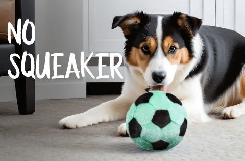 No Squeaker