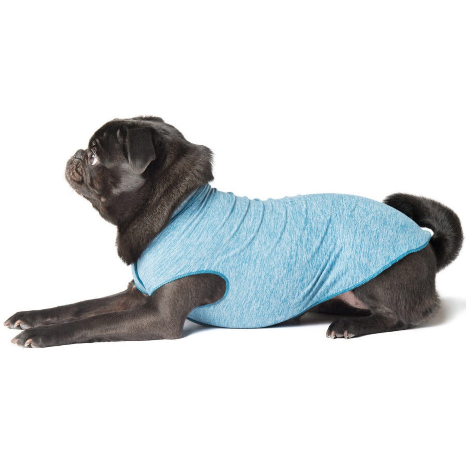 Goldpaw - Sun Shield Tee