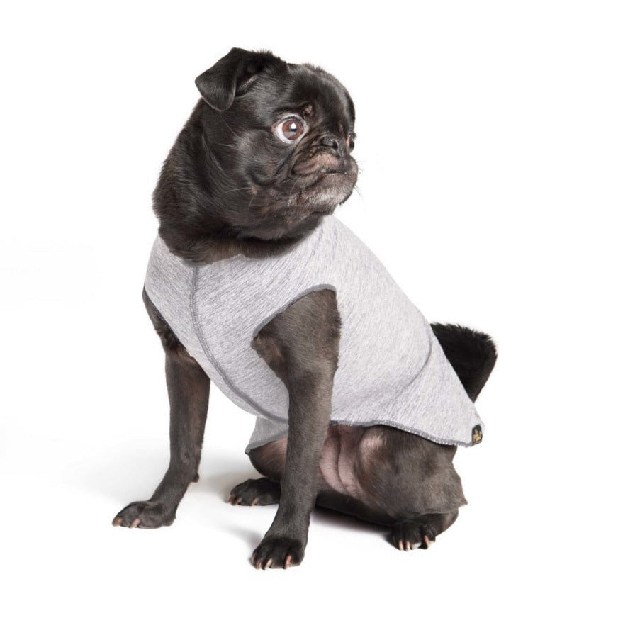 Goldpaw - Sun Shield Tee