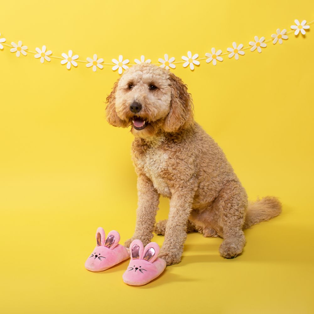 PetShop by Fringe Studios - Bunny Slipper Set