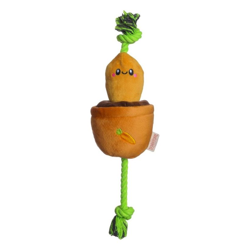 Territory - Carrot Treat and Tug Toy