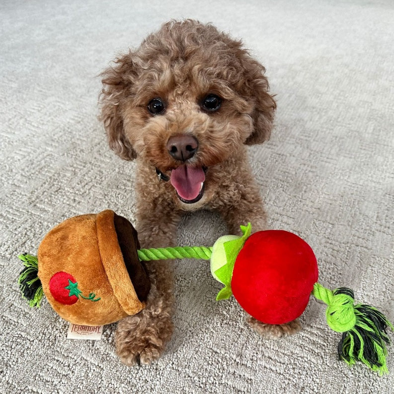 Territory - Tomato Treat and Tug Toy