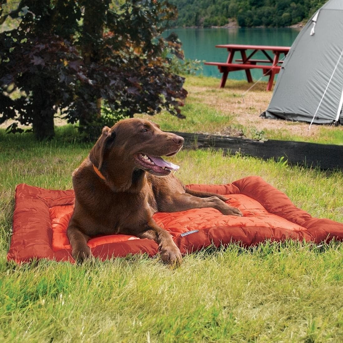 Kurgo - Loft Wander Bed