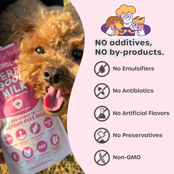 Choolip - Berry Good Milk - Vitamin Infused Lactose-Free Milk