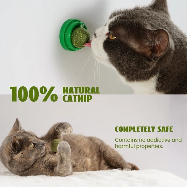 Nocciola - Catnip Toy Playset, 12 Pieces