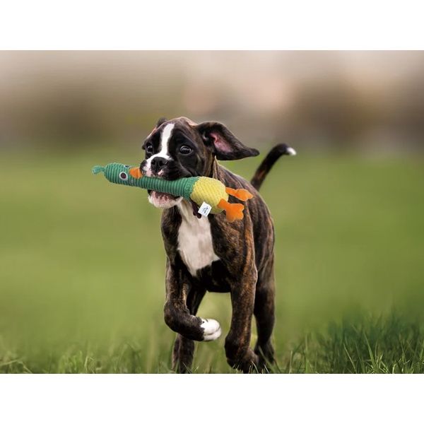 Nocciola - 2-in-1 Squeaky Duck Dog Toy