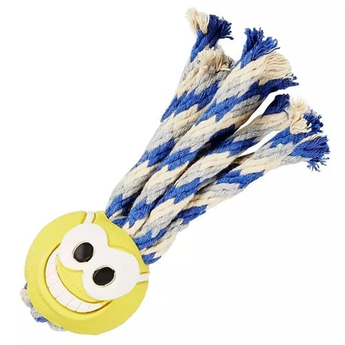 ChuckIt - Fanatic Ball Dog Toy