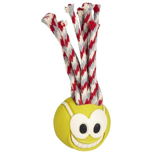 ChuckIt - Fanatic Ball Dog Toy