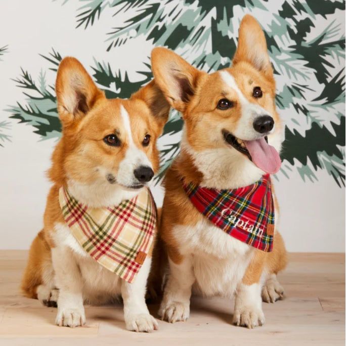 The Foggy Dog - Eggnog Plaid Flannel Bandana