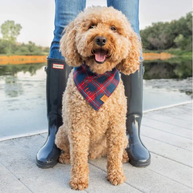 The Foggy Dog - Kingston Plaid Flannel Bandana