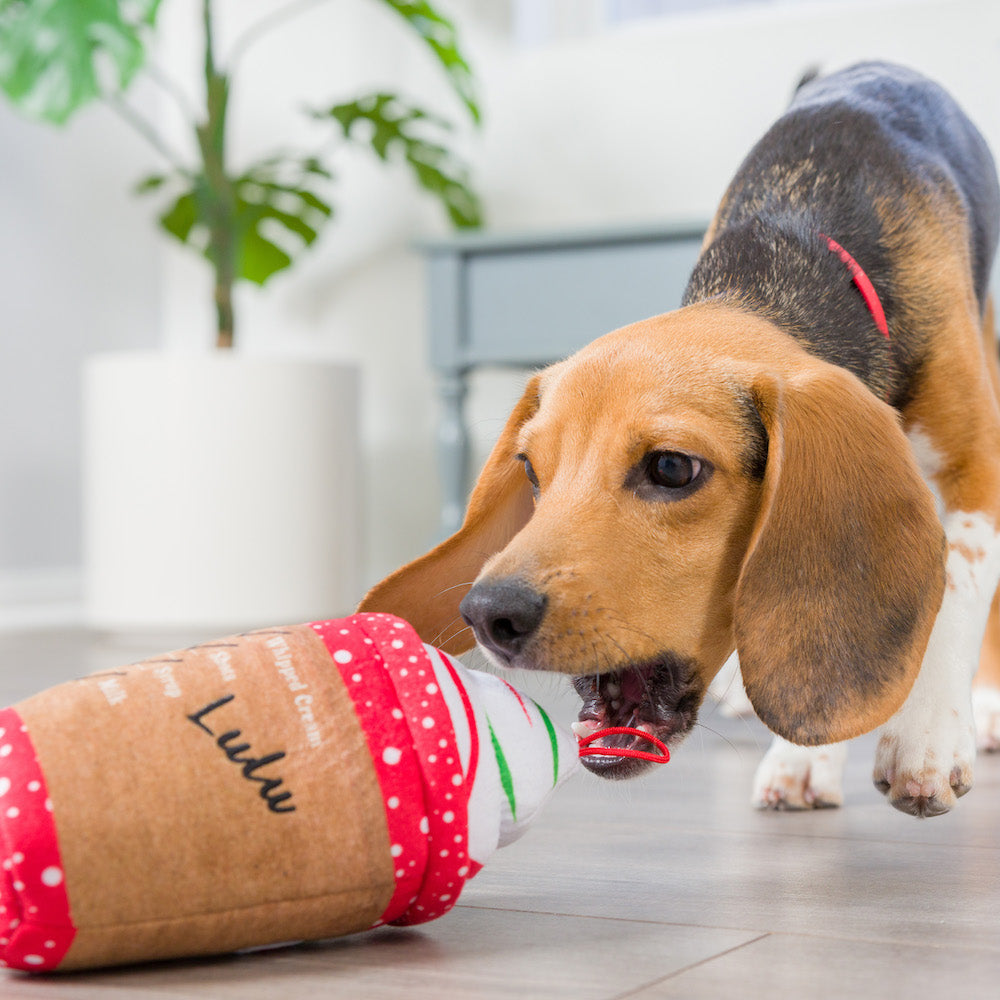 Lulubelles - Latte My Way