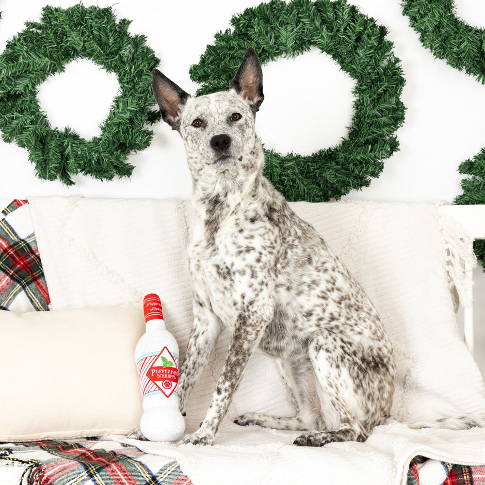 PetShop by Fringe Studios - More Peppermint Please