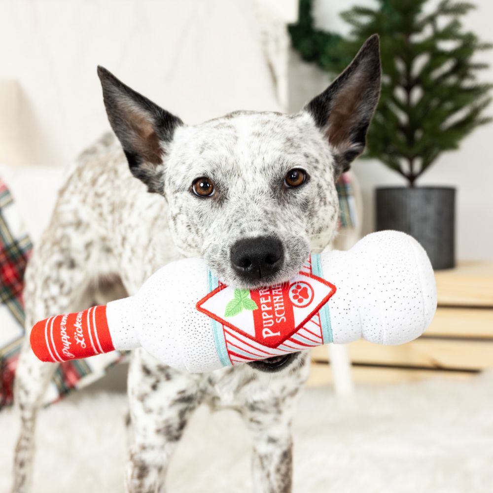 PetShop by Fringe Studios - More Peppermint Please