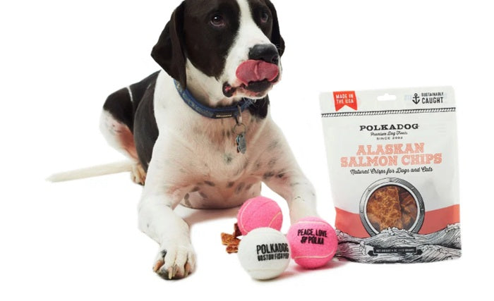 Polkadog - Alaskan Salmon Chips