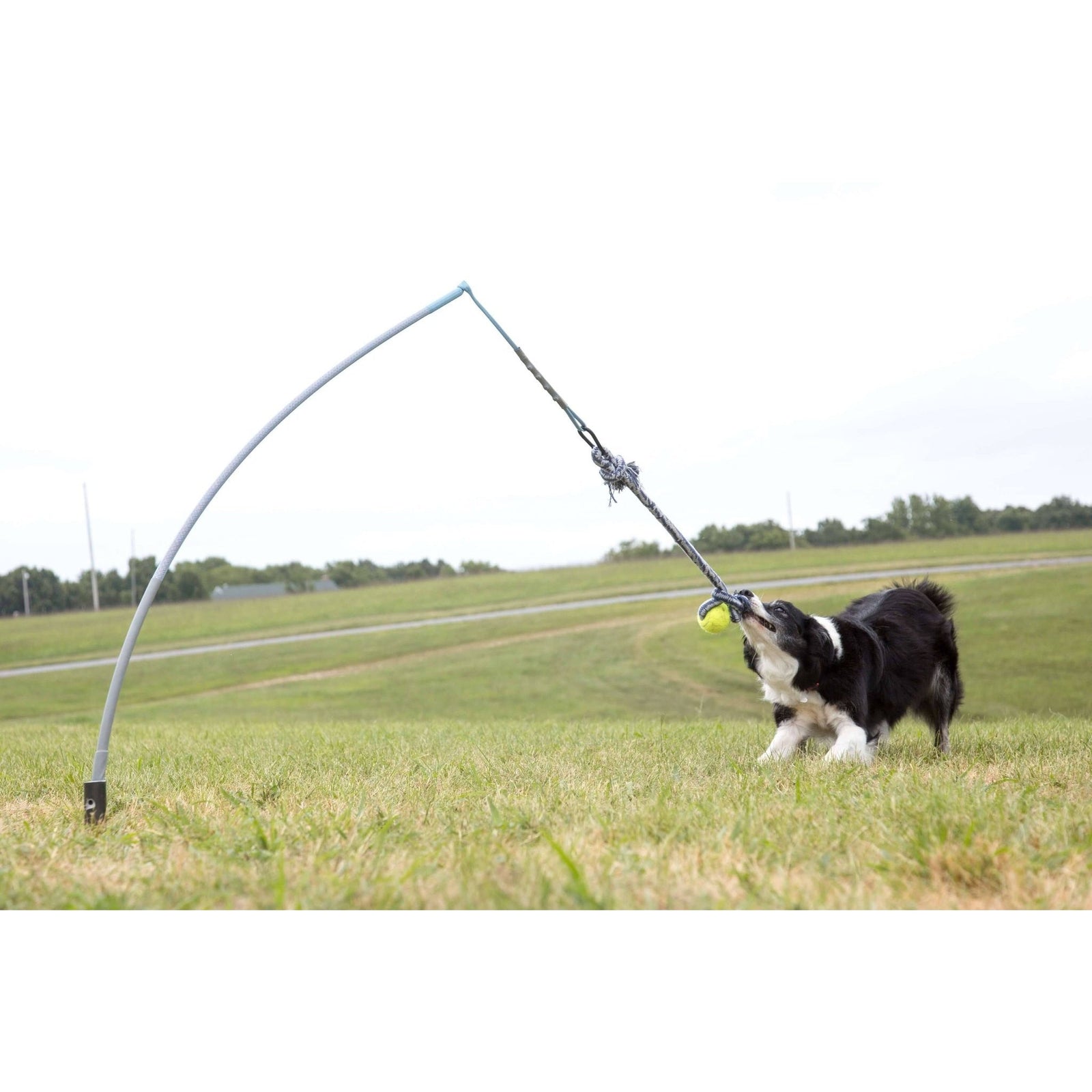 Tether Tug - Small Tether Tug (For dogs under 35 pounds)