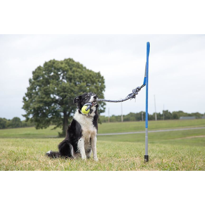 Tether Tug - Small Tether Tug (For dogs under 35 pounds)