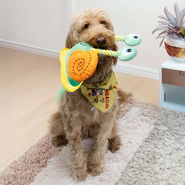 KONG Bendeez- Snail Dog Toy, Large
