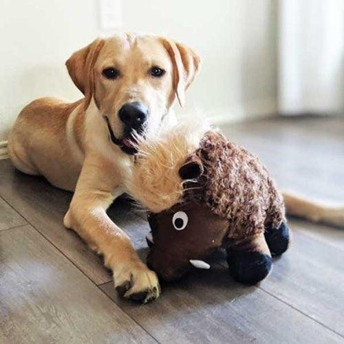 Patchwork Pet -Cuddler Warthog Plush Dog Toy - 14"