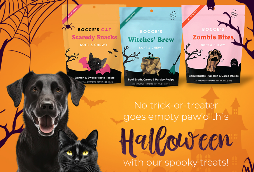 Trick or Treat? TREATS!