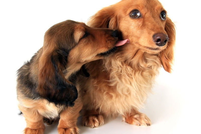 A Poem For All the Moms!