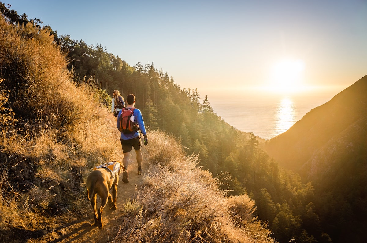 10 Tips for Hiking with Dogs & the Gear to Bring