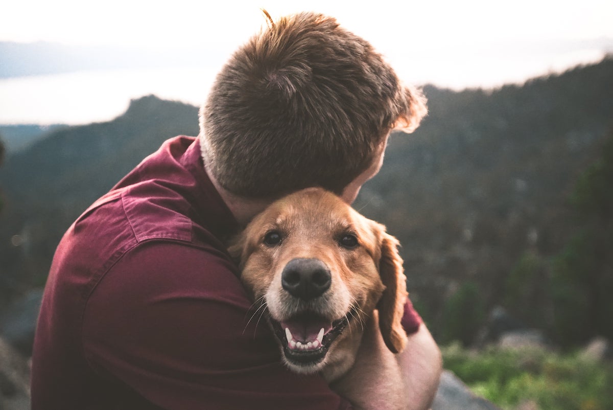 dog with owner in summer