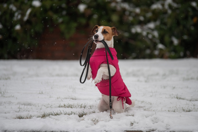Walking in a Winter Wonderland!