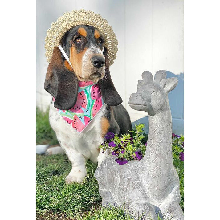 Paisley Paw Designs - Watermelon Bandana