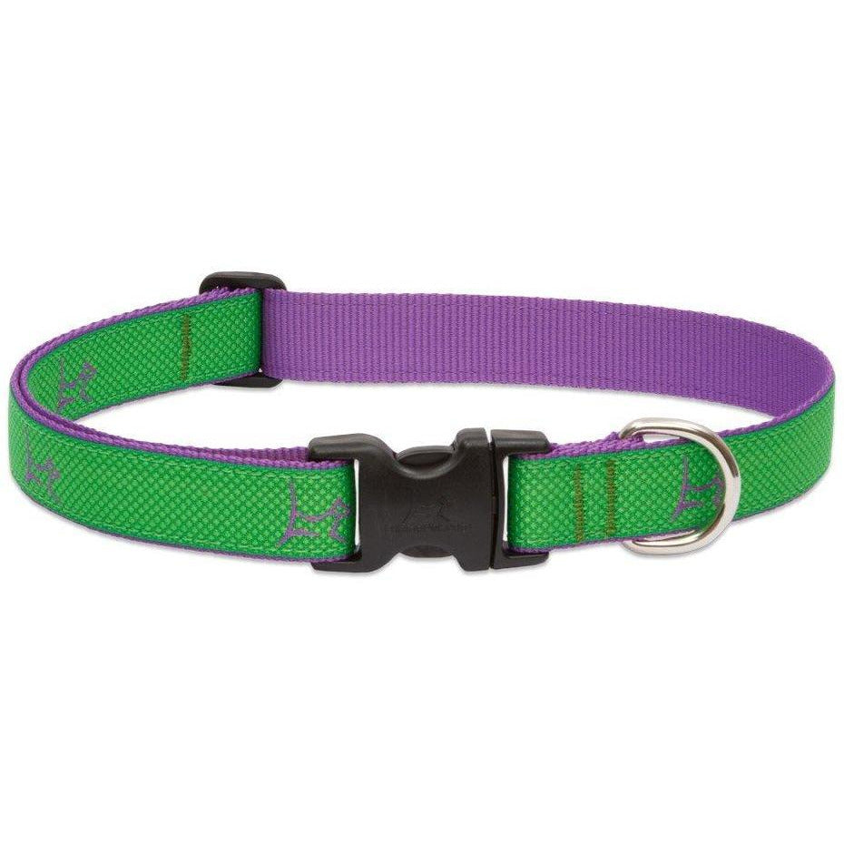 LupinePet Club Collar - Augusta Green