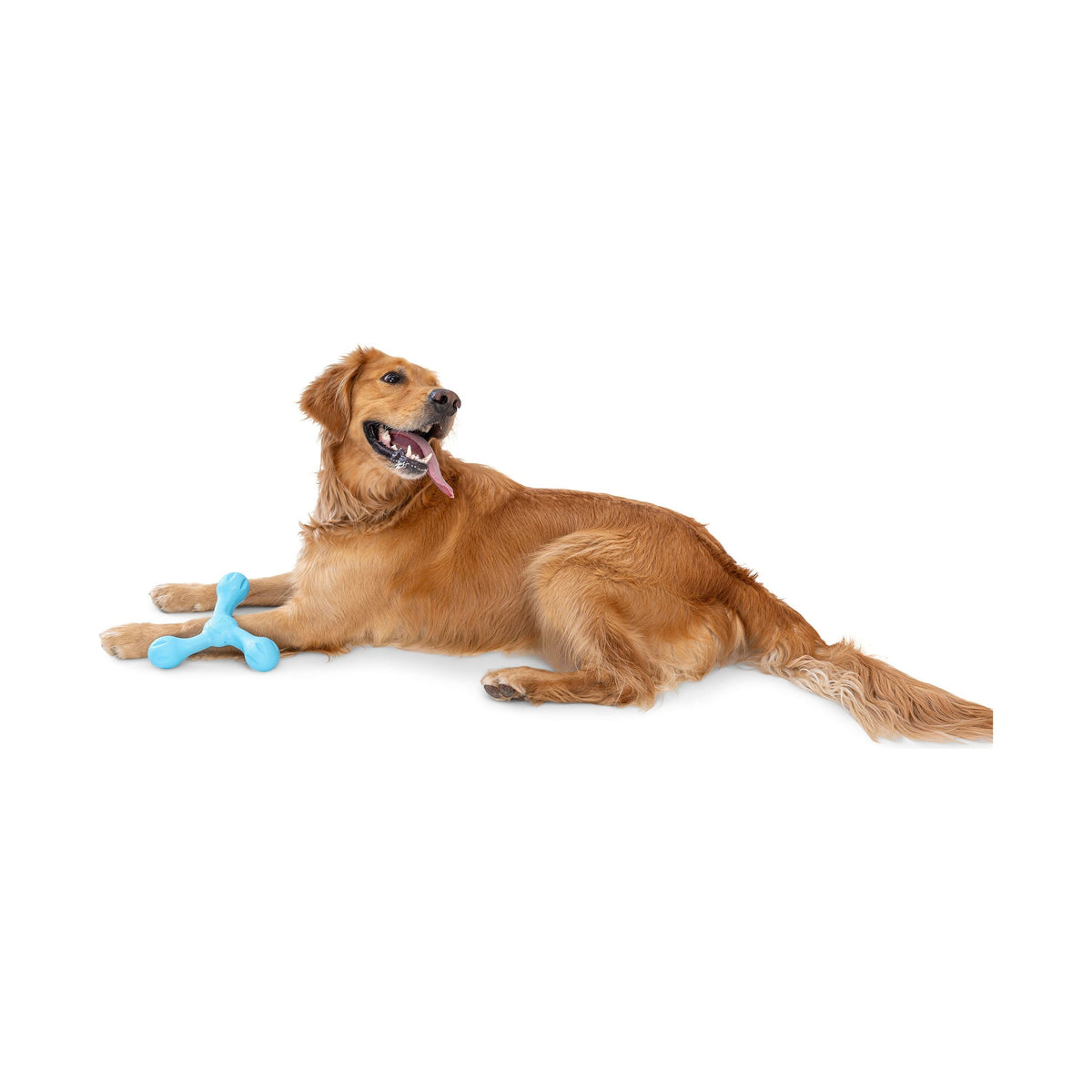 West Paw - Zogoflex Skamp, New Colors!