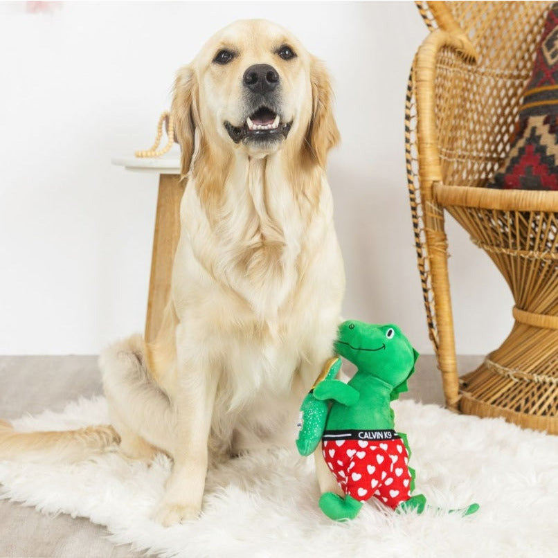 PetShop by Fringe Studios - Bachelor Rex