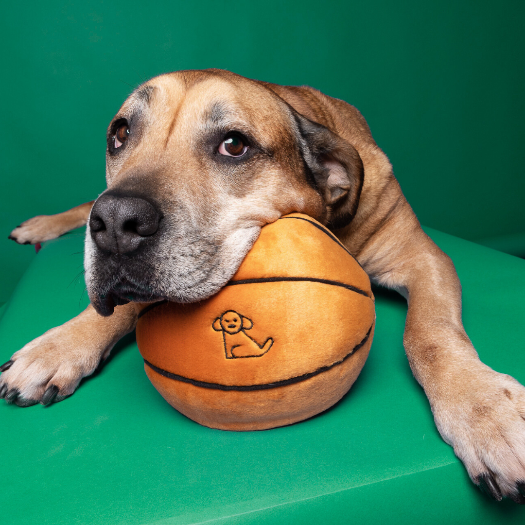 Fluff & Tuff - Basketball