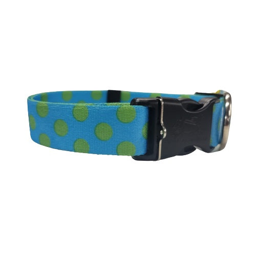Yellow Dog Design - Blue & Green Polka Dot Collar
