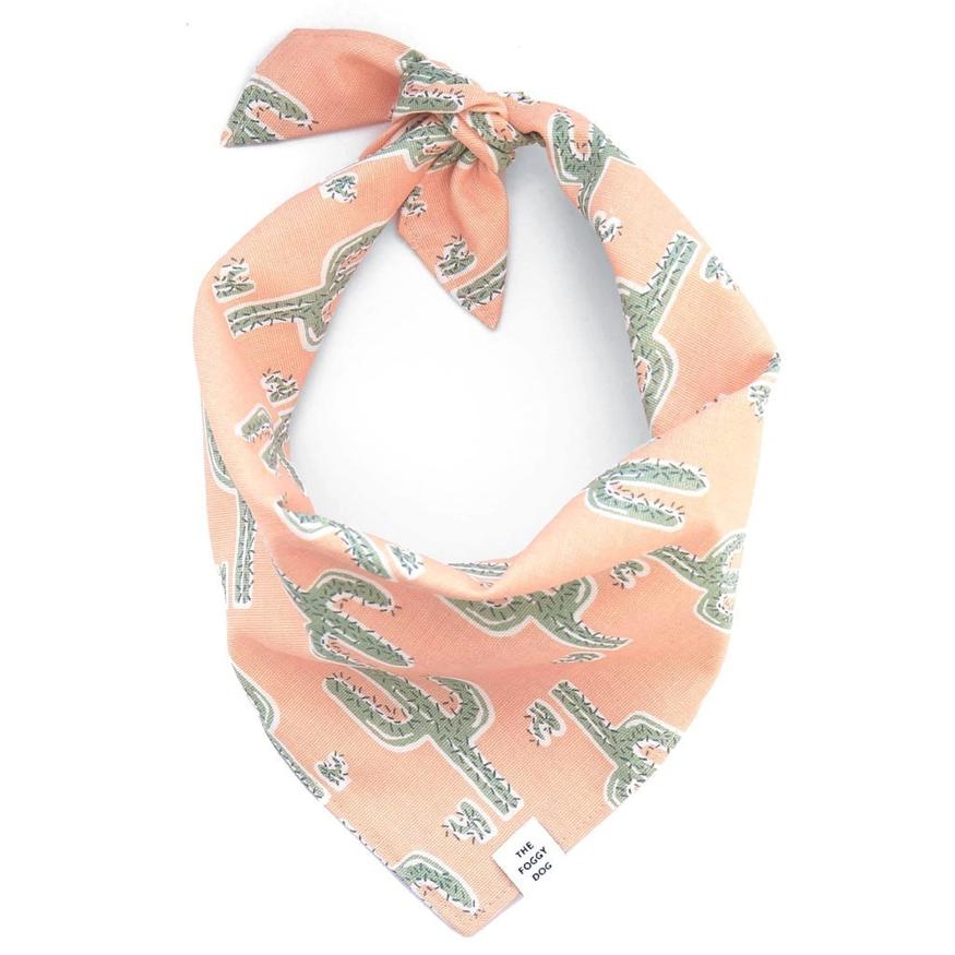 The Foggy Dog - Cactus Garden Bandana