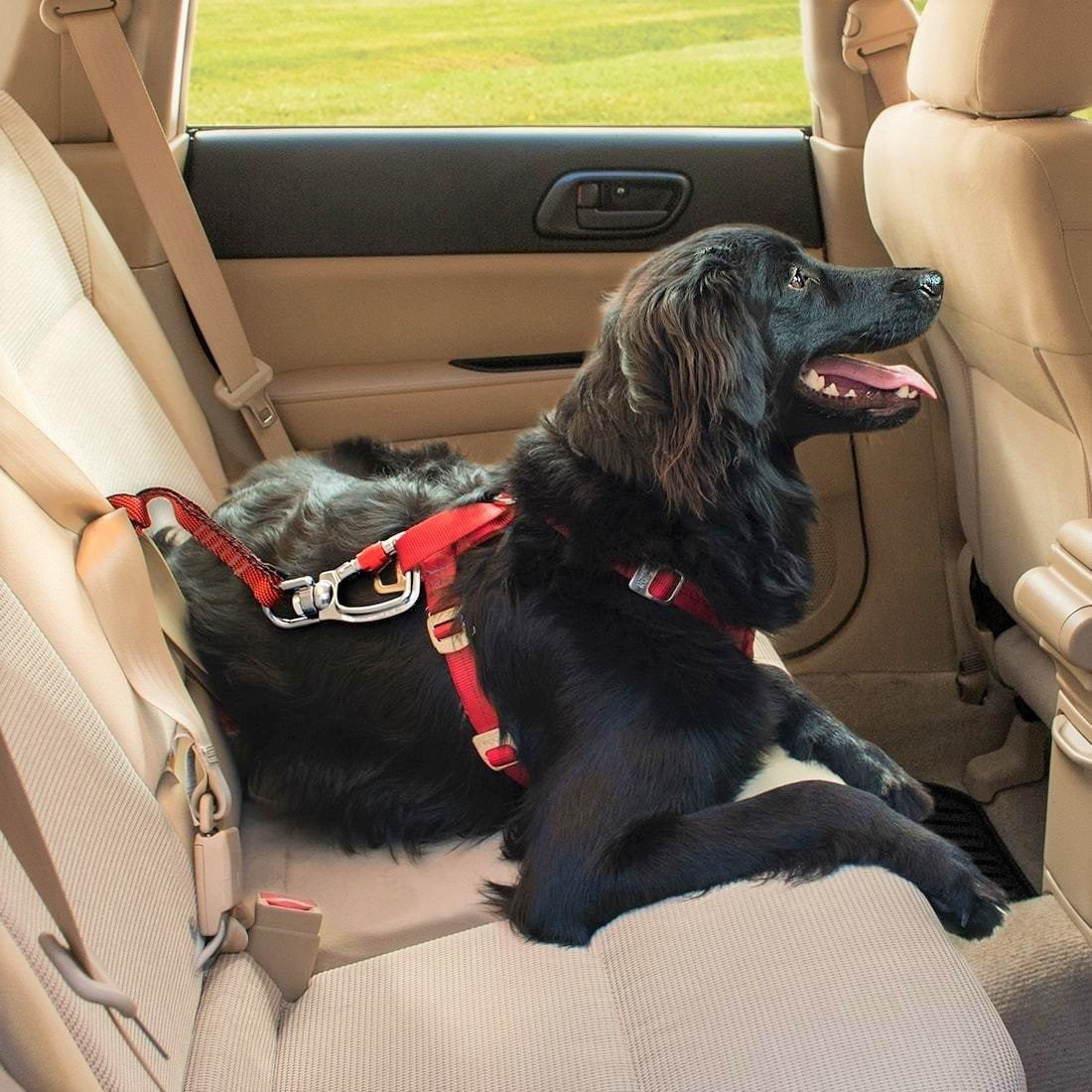 Kurgo - Swivel Tether