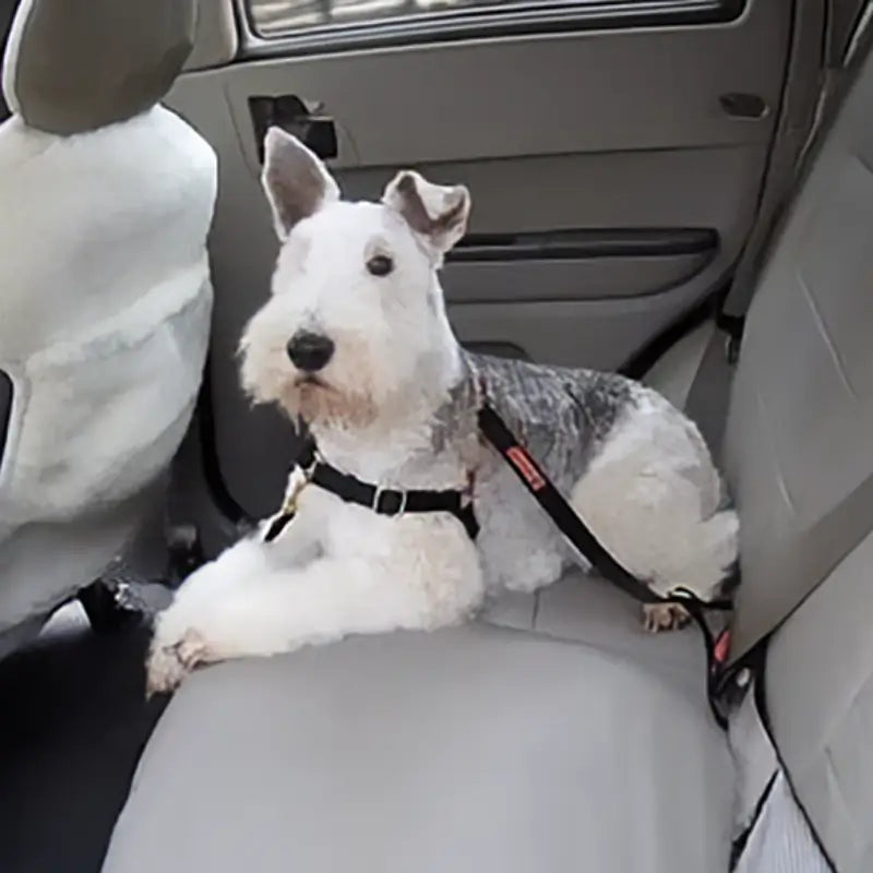 Dolan&#39;s Dog Doodads - Car Strap Attachment