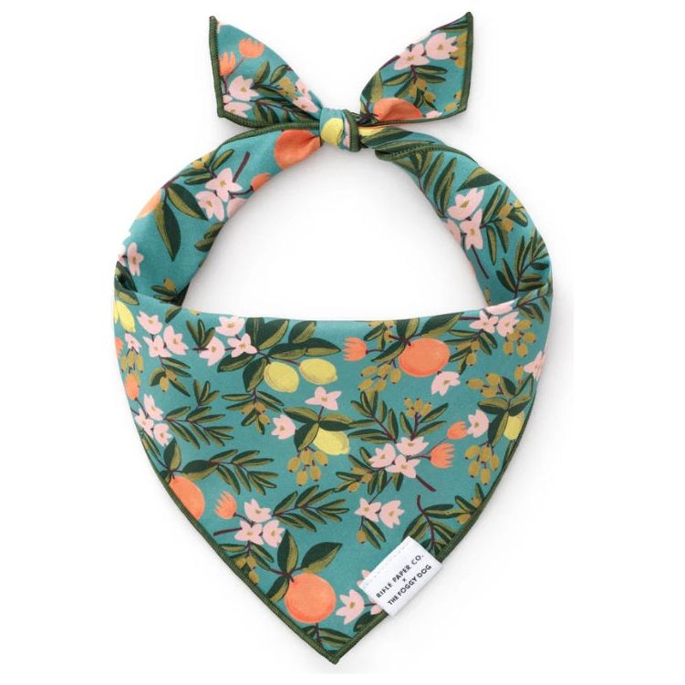 The Foggy Dog - Rifle Paper Co. x TFD Citrus Floral Dog Bandana