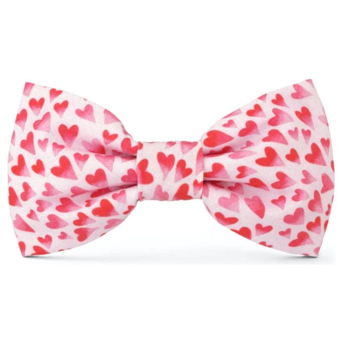The Foggy Dog - Heart Throb Bow Tie