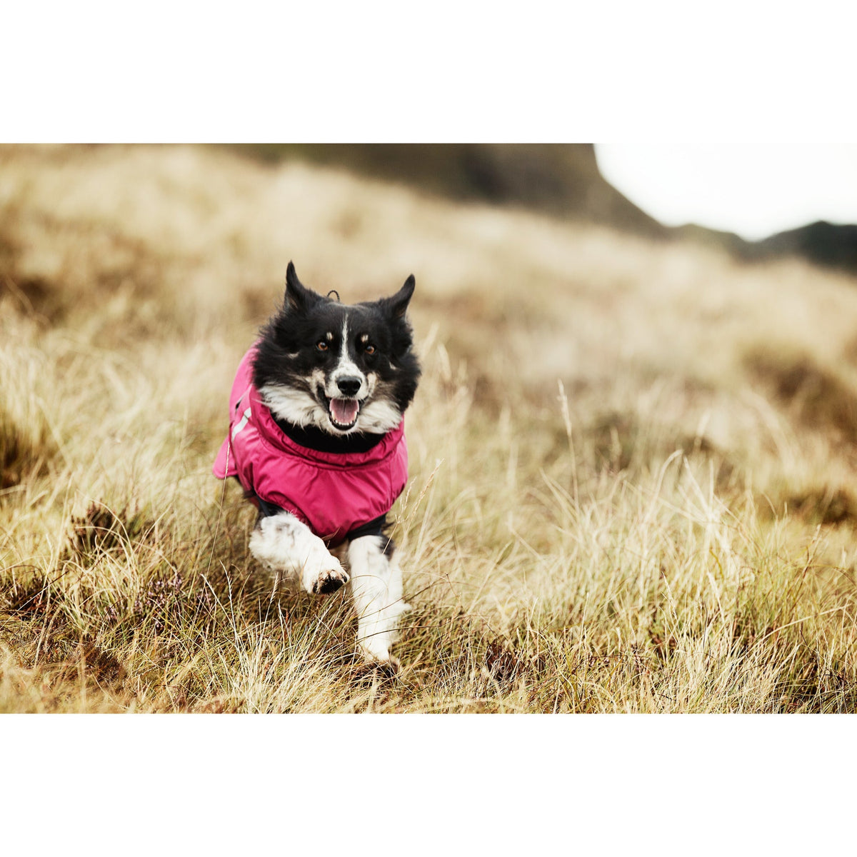 Hurtta - Summit Parka