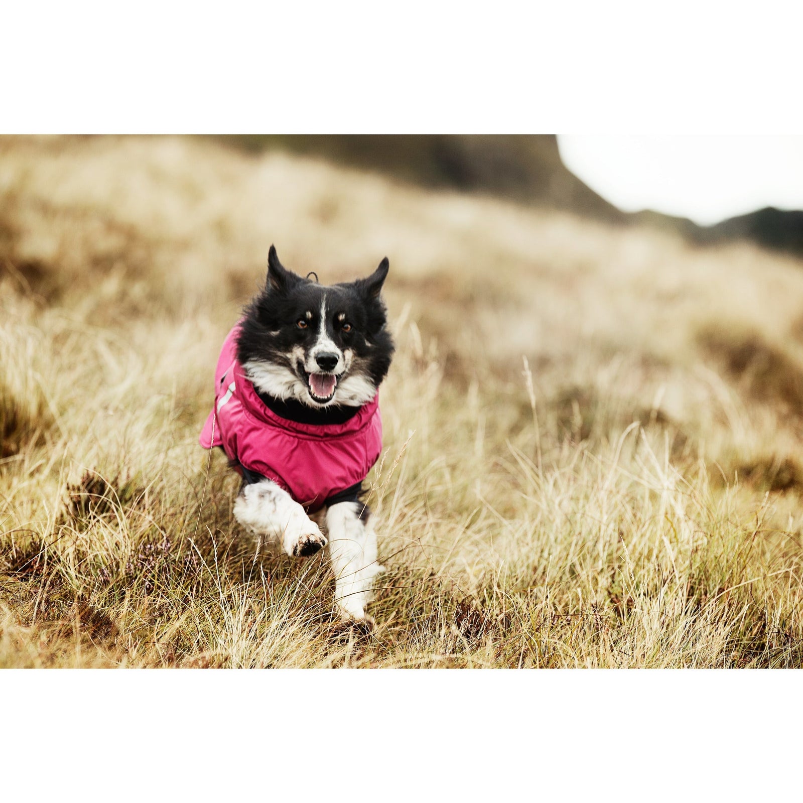 Hurtta - Summit Parka