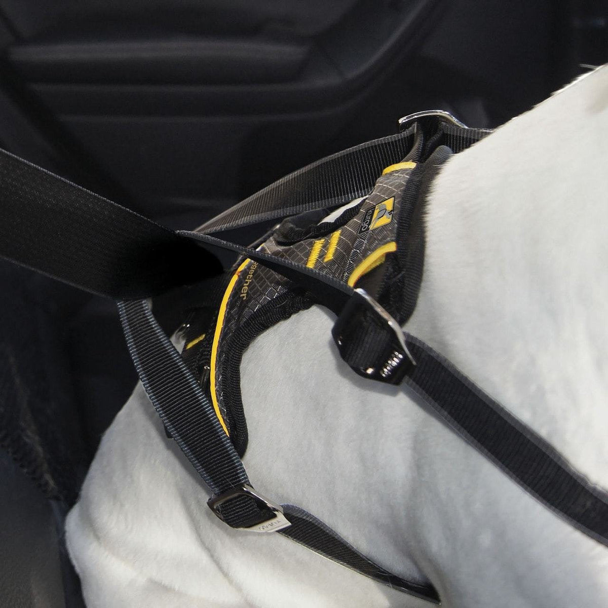 Kurgo - Impact Harness