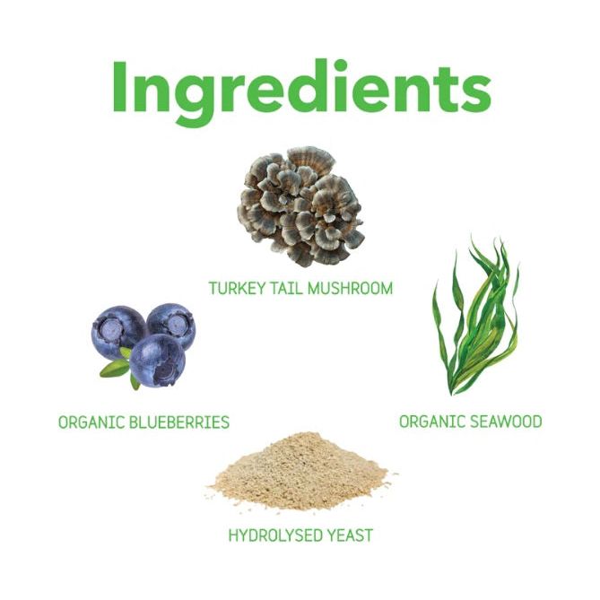 InClover Daily Multi - Multivitamin Powder Supplement for Dogs &amp; Cats