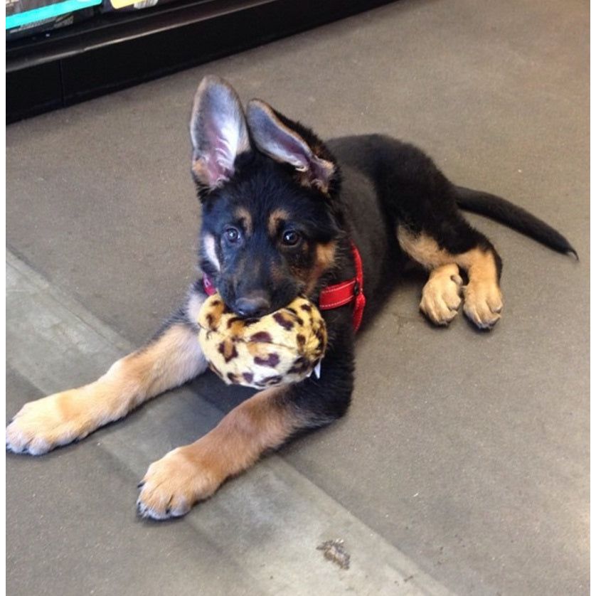 Fluff &amp; Tuff - Leopard Ball