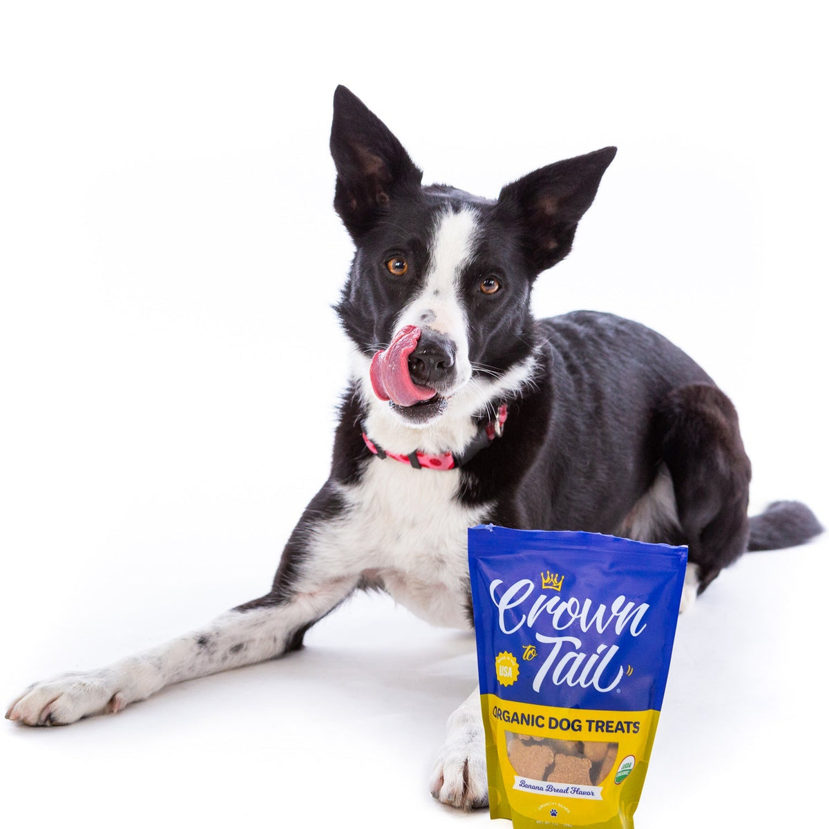 Crown to Tail Organic Banana Bread Crunchy Dog Treats