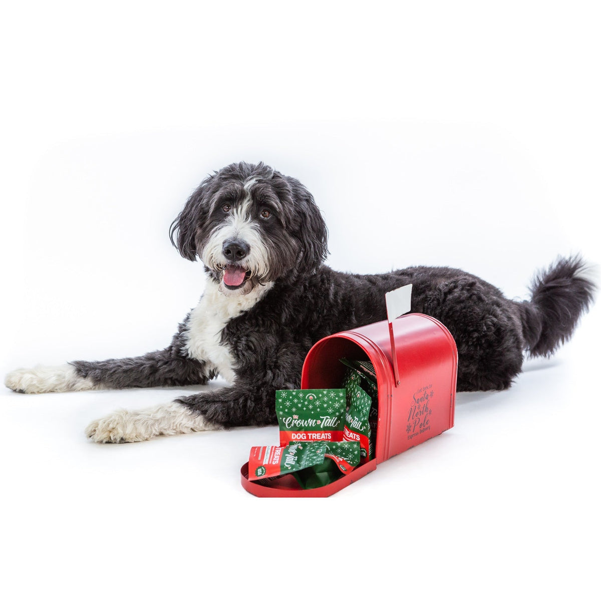 Crown to Tail Nothin&#39; But The Fixins Crunchy Dog Treats